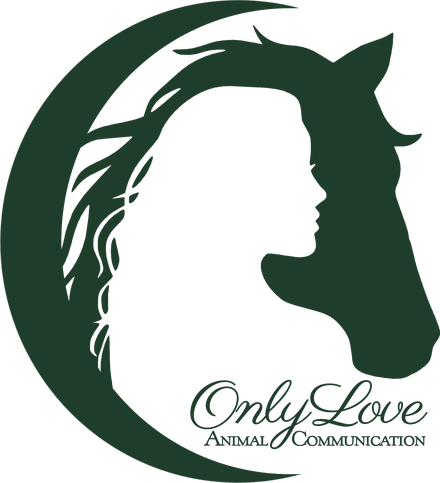 Only Love Animal Communication