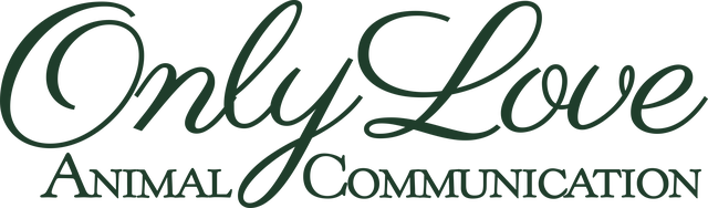 Only Love Animal Communication